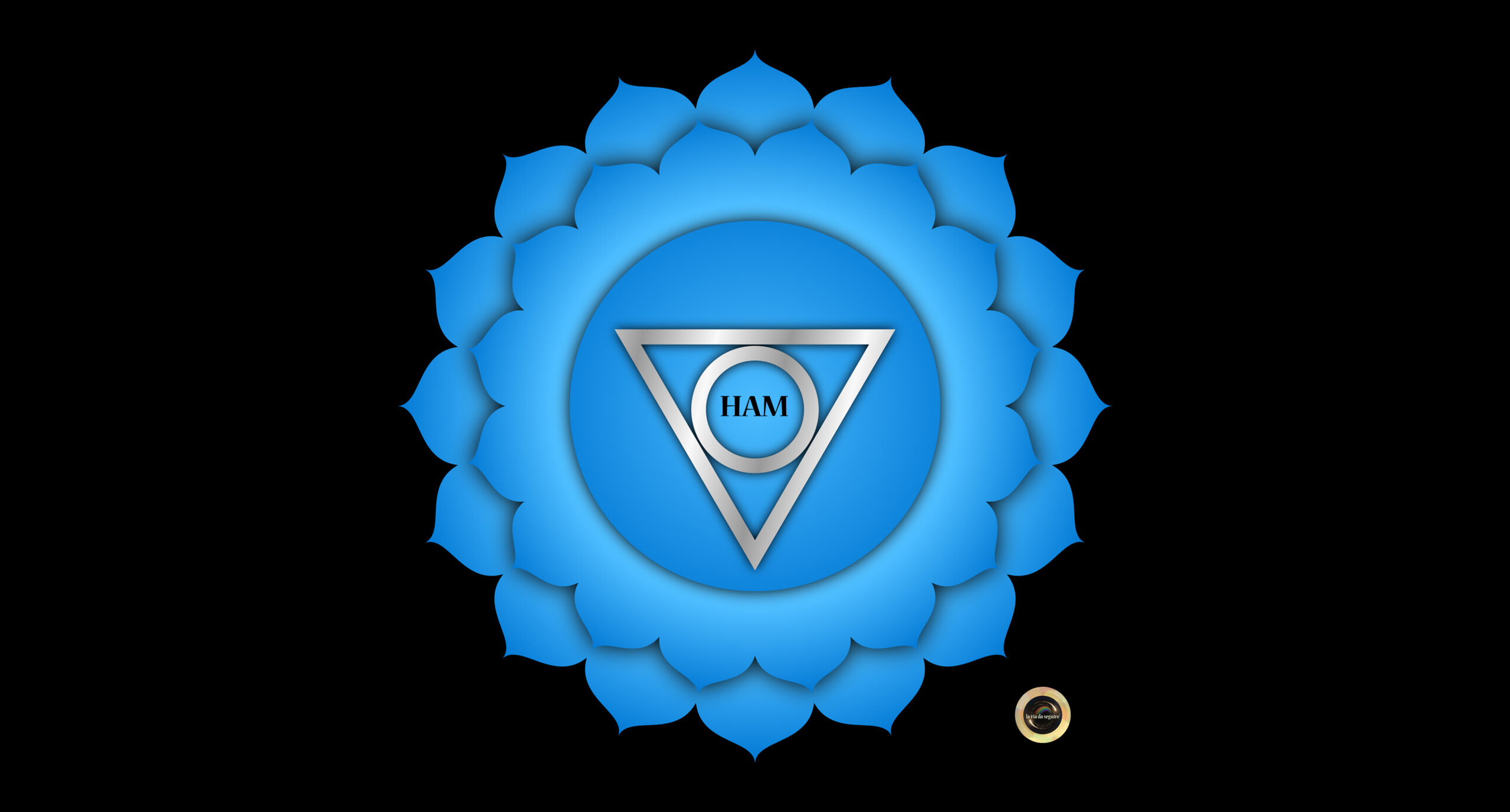 quinto chakra