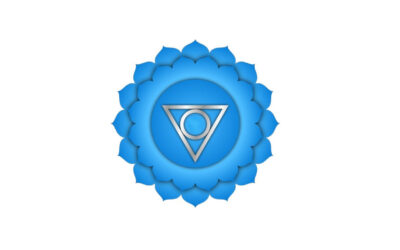 Chakra Astrale della Laringe (Gola)