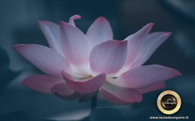 Risveglio spirituale: i segnali e i sintomi, anche fisici